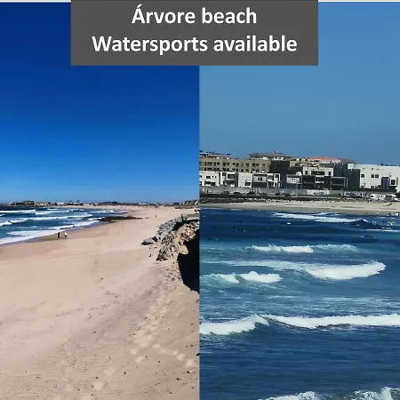 Glamours Beach House - Near Oporto City Árvore
